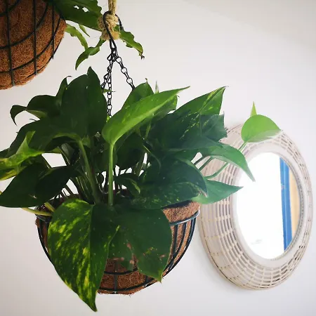 Blu Terrace Appartement