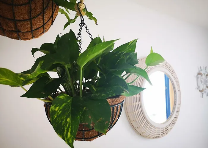 Blu Terrace Appartement